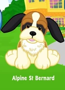 Alpine St. Bernard adoption.jpg (26 KB)