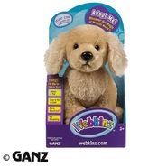 51HMA2couXL.jpg (36 KB)