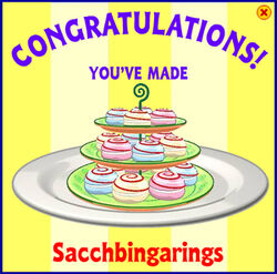 Sacchbingarings