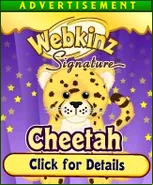 Signature Cheetah