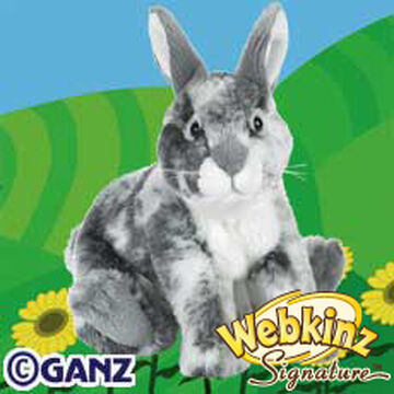 Webkinz bunny cheap