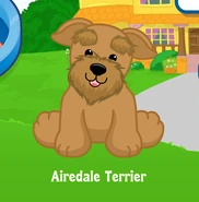 Airedale Terrier adoption.png (133 KB)