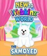 Samoyed Dog New