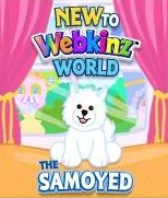 Samoyed Dog New