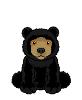 Small Signature Black Bear | Webkinz Wiki | Fandom