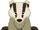 Garden Badger