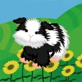 Cookies N' Cream Guinea Pig Portrait