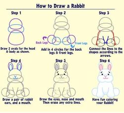 How To Draw A ... | Webkinz Wiki | Fandom