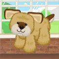 Brownsugarpuppy v120.jpg (18 KB)