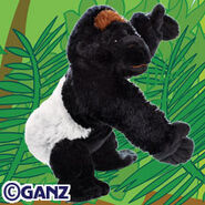 Silverback Gorilla plush.jpg (23 KB)