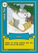 87438-6293202Fr.jpg (19 KB) Series 2 (2007): B2-23