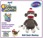 Pet of the Month Advertisement