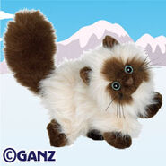 Himalayan Cat Plush Pet