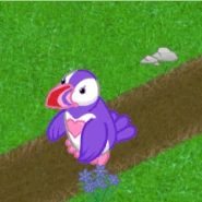 Love Puffin Gif