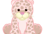 Strawberry Cloud Leopard