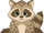 Classic Cookie Raccoon