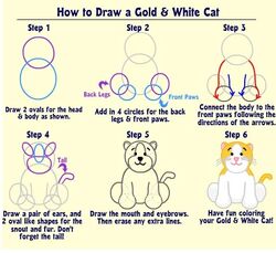 Webkinz gold and white cat shop