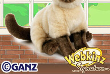 Siamese Webkinz Wiki Fandom