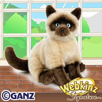 Siamese top cat webkinz