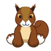 Red squirrel