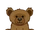 Grizzly Bear