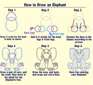 Drawing an Elephant