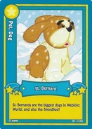 Series 1 (2007): B1-11