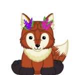 Webkinz sun fox hot sale