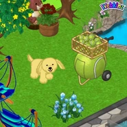 118294507 4240441656030320 8223276596660478265 n.jpg (70 KB)