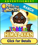 Pet Of the Month Ad