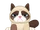 Grumpy Cat