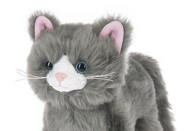 Webkinz colorblock kitty discount