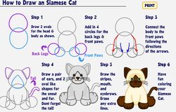 How To Draw A ... | Webkinz Wiki | Fandom