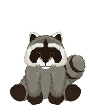 Taxidermy Raccoon Shoulder Head Wall Mount - Etsy
