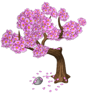 Cherry Blossom Hideout