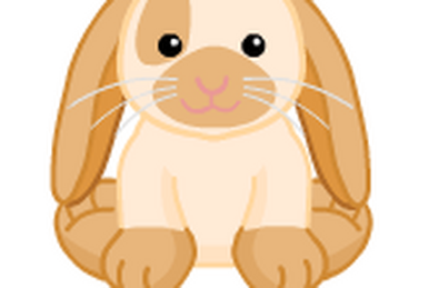 Webkinz floppy eared bunny clearance