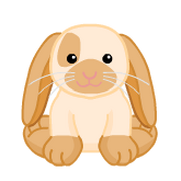 Webkinz floppy eared bunny store