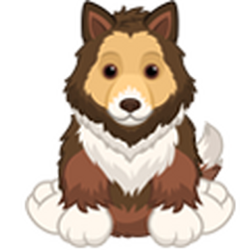 Border collie webkinz outlet