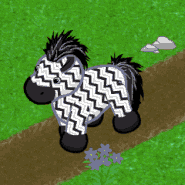 Zigzagzebra v240.gif (249 KB)