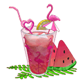 Watermelon Punch