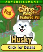 HuskyCaringValleyAd.png (60 KB) Caring Valley Ad