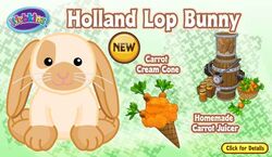 Webkinz signature shop lop bunny