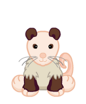 Opossum Webkinz Wiki Fandom