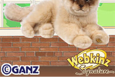 Webkinz signature best sale ragdoll cat