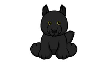 Wolf webkinz cheap