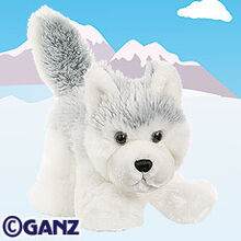 husky webkinz