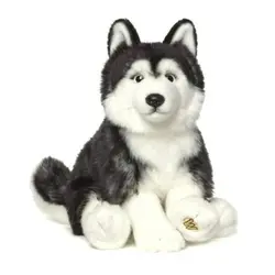 Signature Siberian Husky | Webkinz Wiki | Fandom