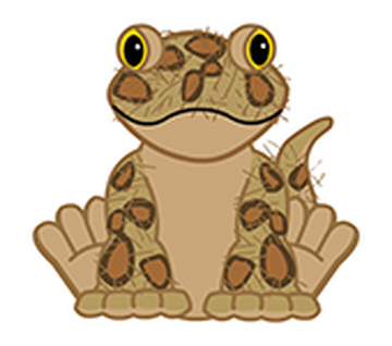 Leopard Lizard Webkinz Wiki Fandom