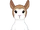 Two Toned Llama