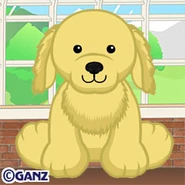 240-butterscotchretriever.jpg (15 KB)